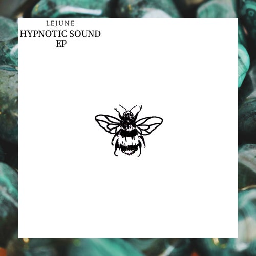Lejune - Hypnotic Sound EP [NSD053]